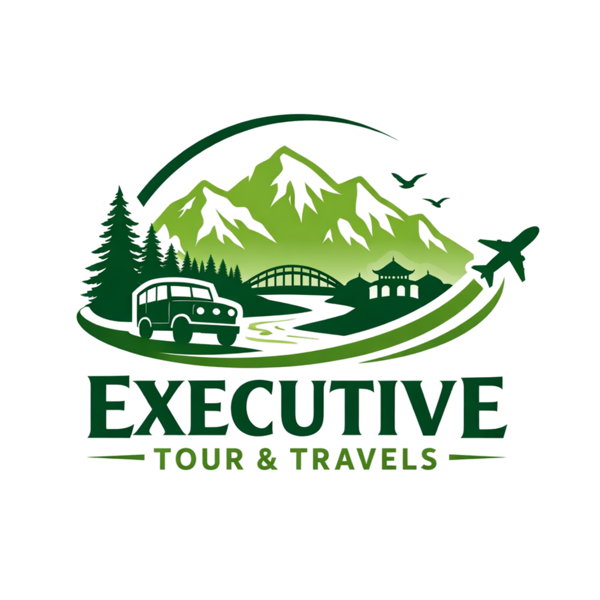 executivetourstravels.com